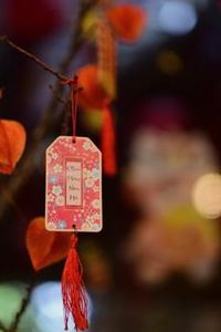 lô đề lừa đảo